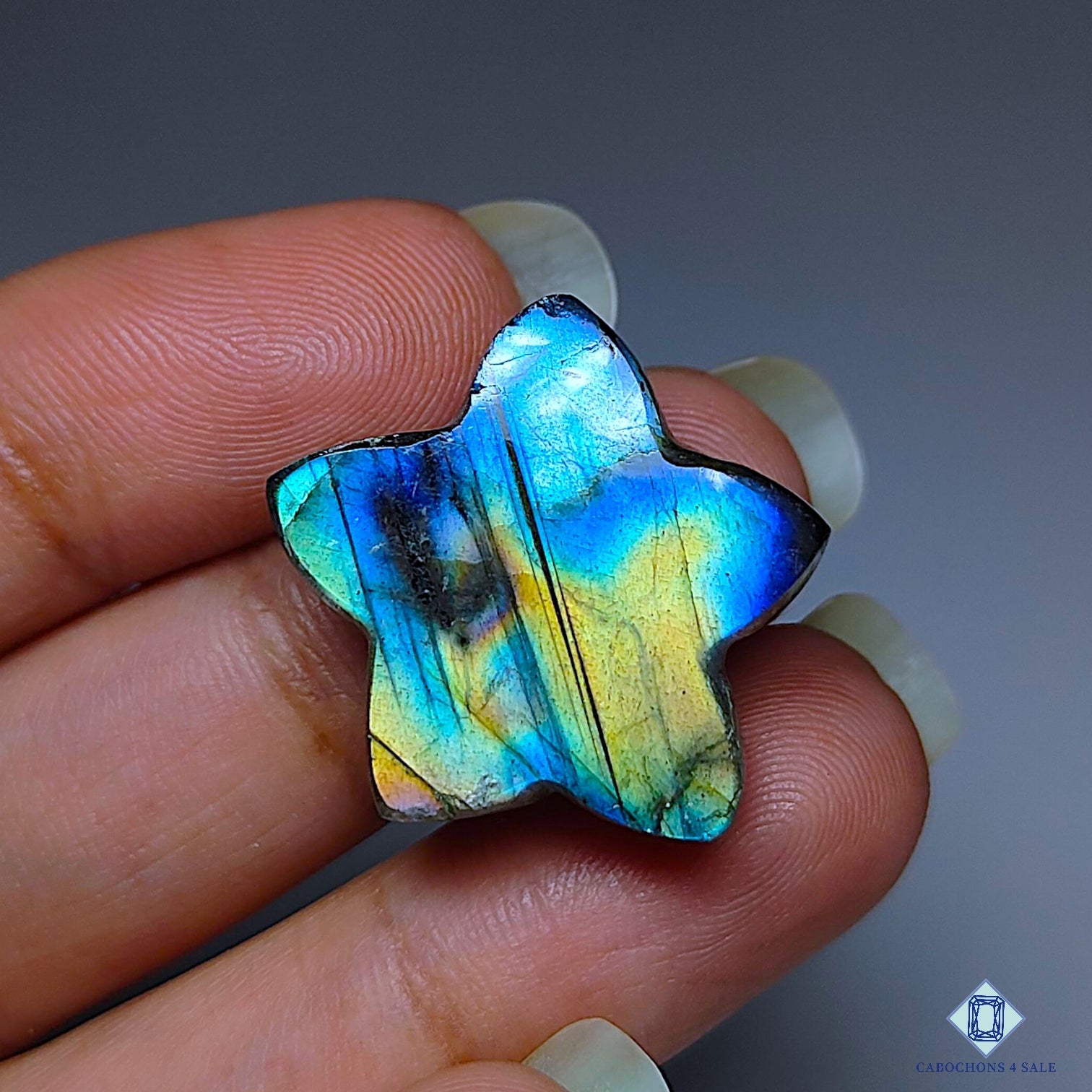Multi Fire Labradorite