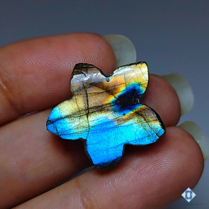 Multi Fire Labradorite