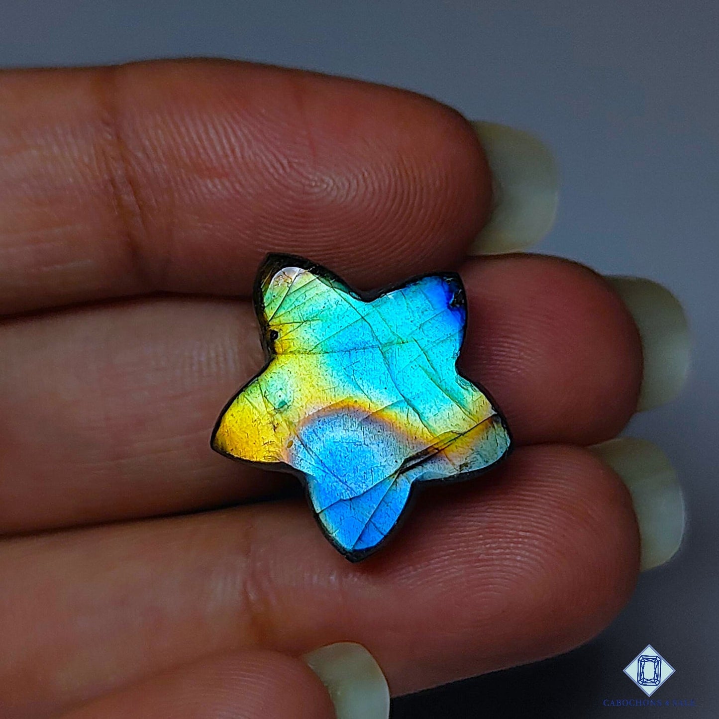 Multi Fire Labradorite