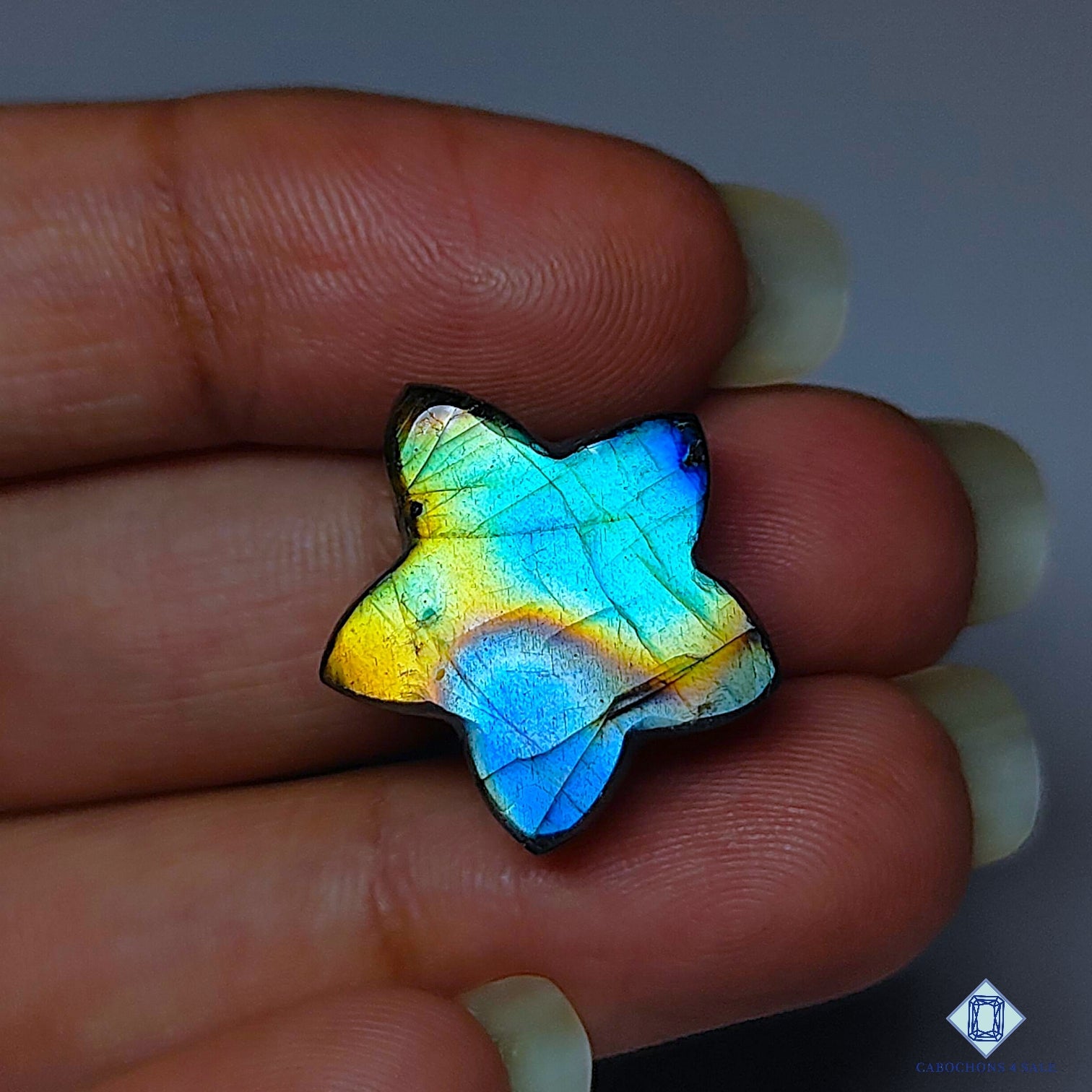 Multi Fire Labradorite