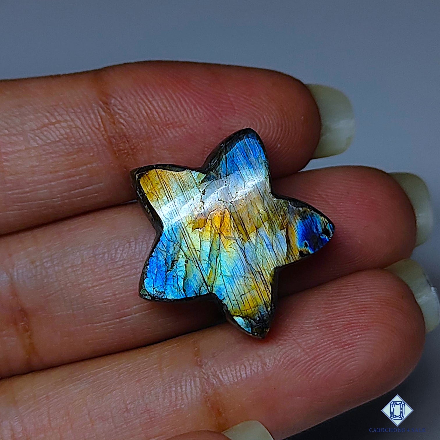 Multi Fire Labradorite