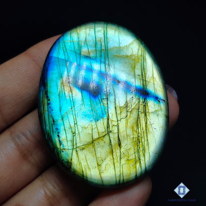 Multi Labradorite