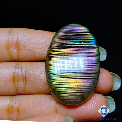 Multi Purple Labradorite