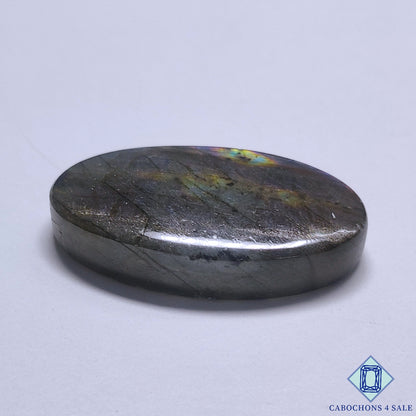 Multi Spectrolite