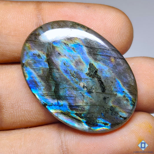 Multi Spectrolite