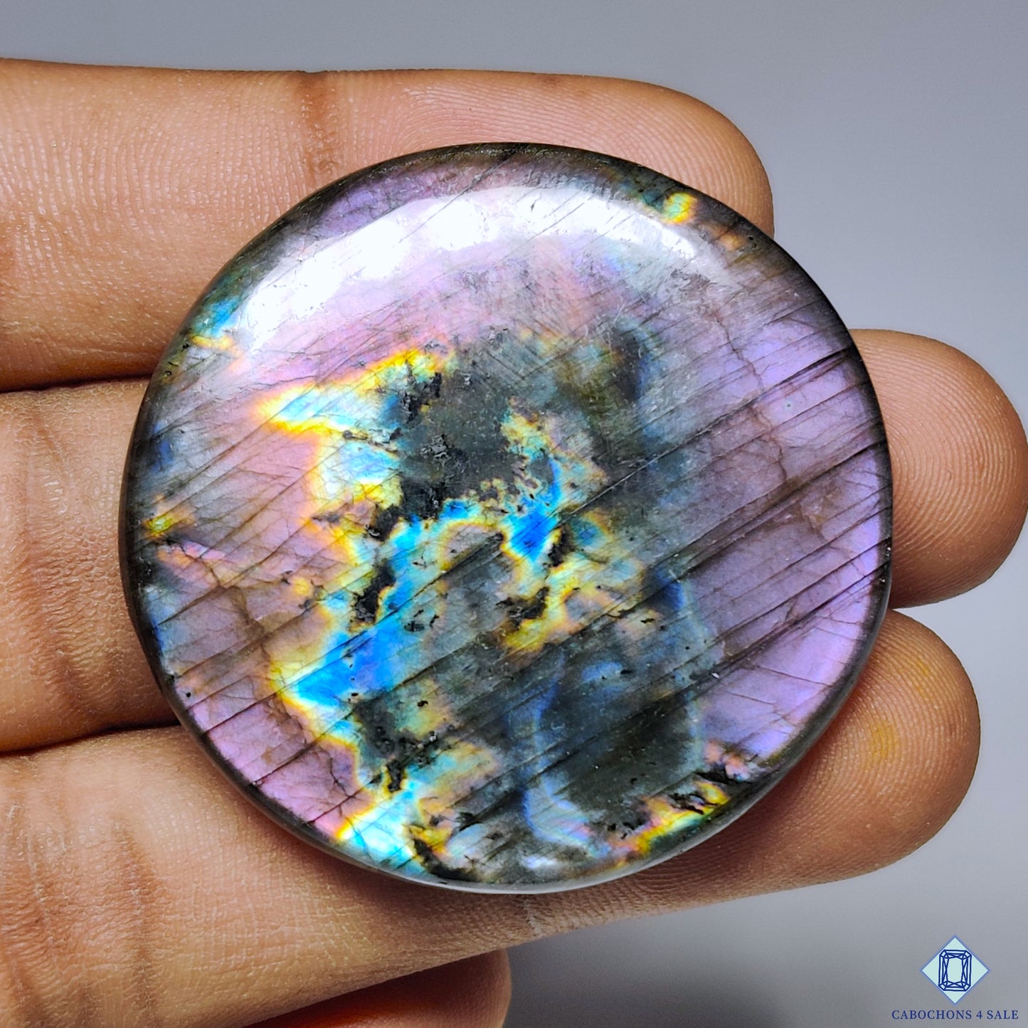 Multi Spectrolite