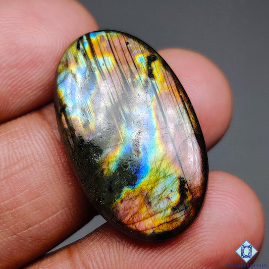 Multi Spectrolite