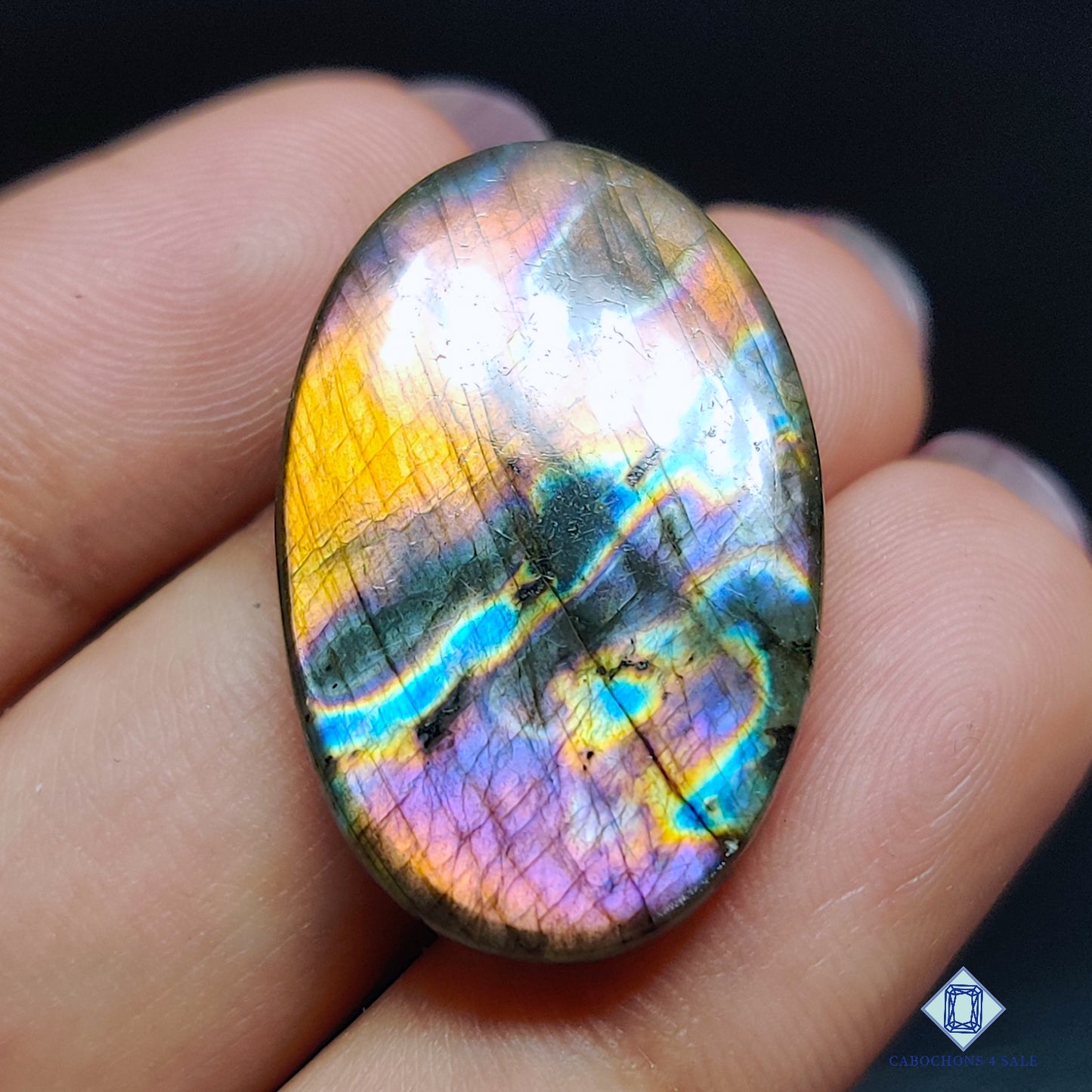 Multi Spectrolite