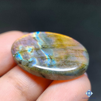 Multi Spectrolite
