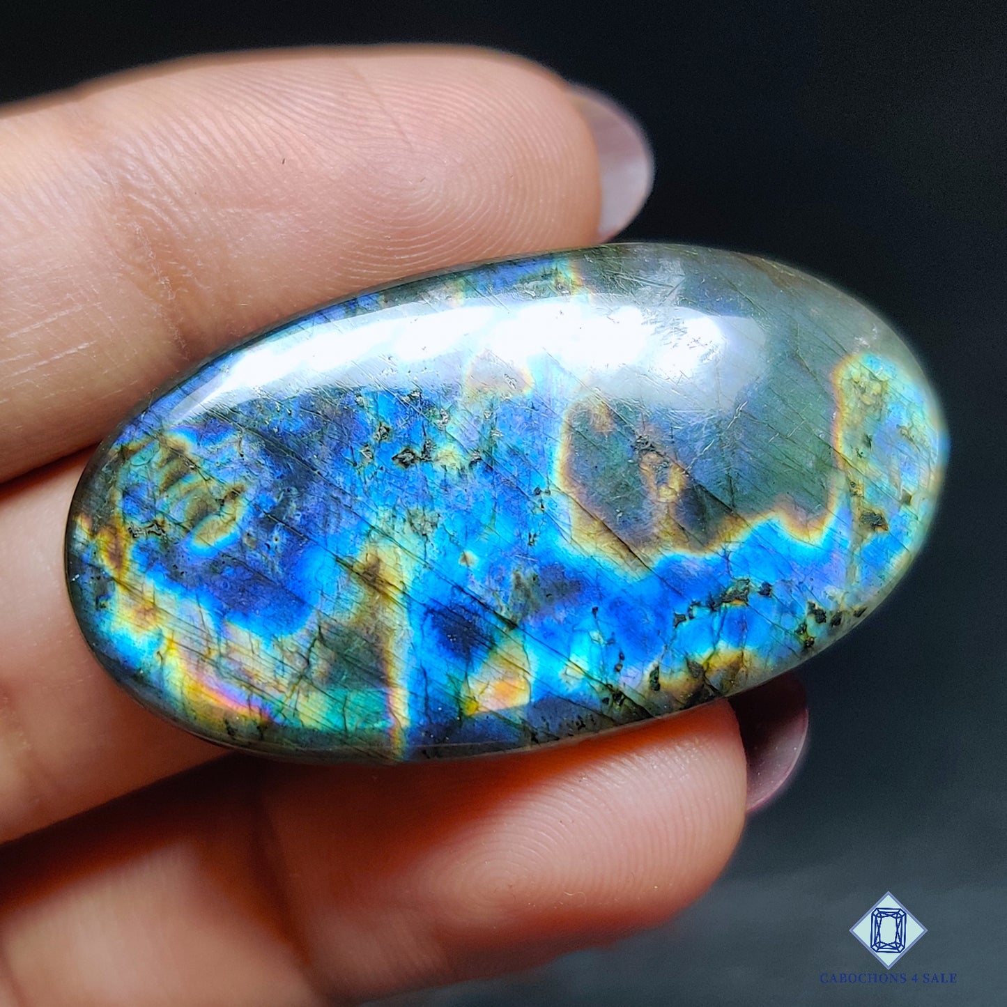 Multi Spectrolite