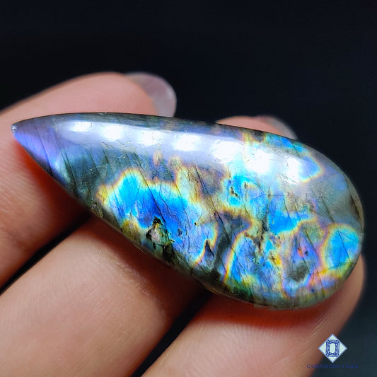 Multi Spectrolite