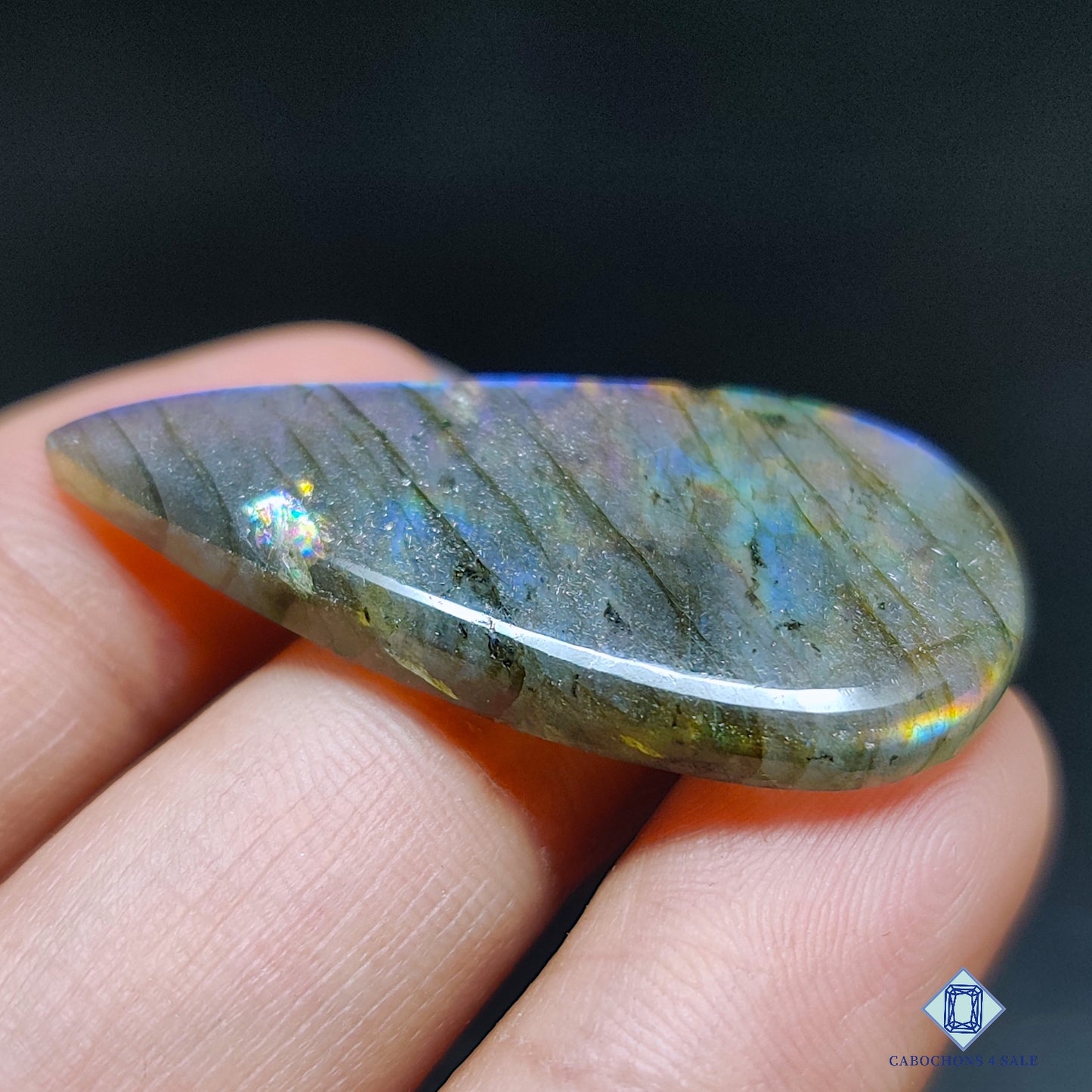 Multi Spectrolite