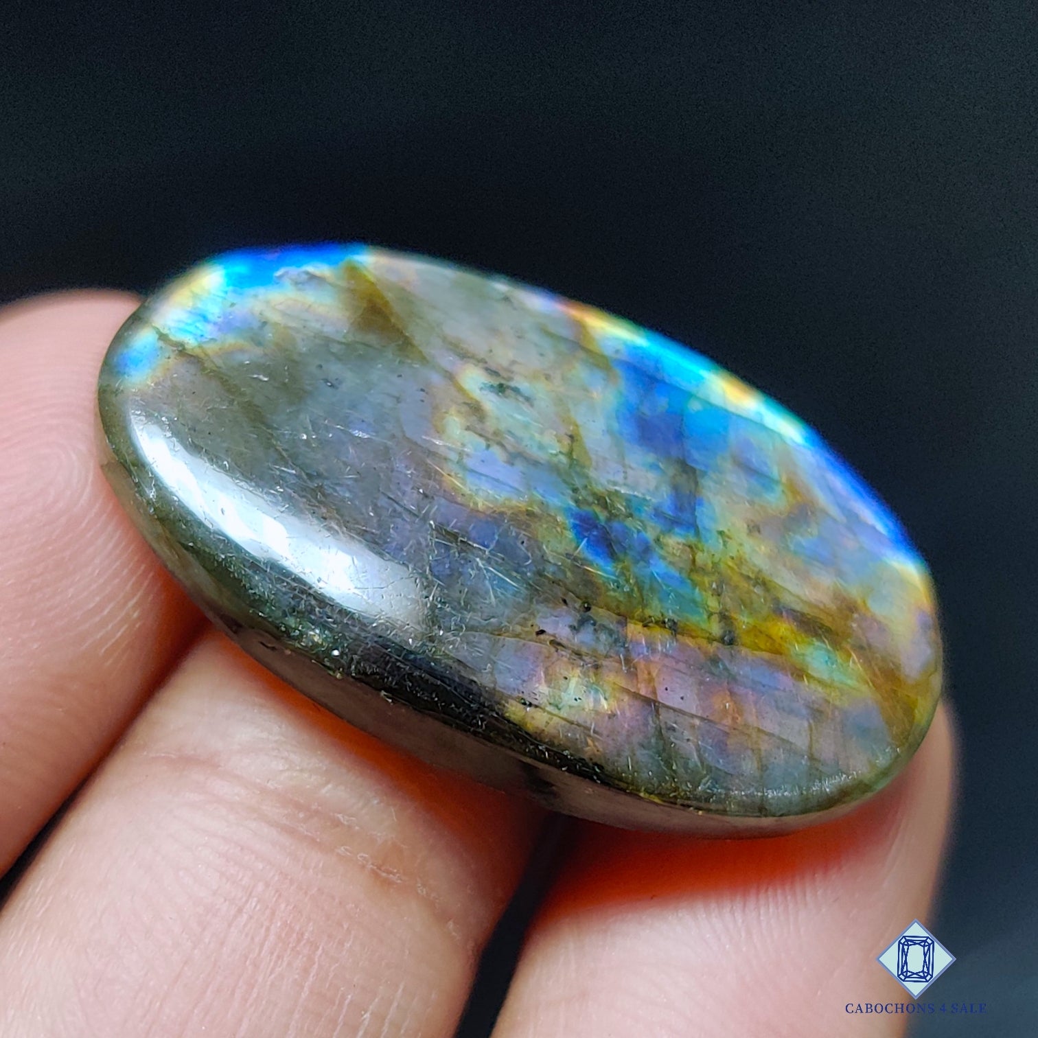 Multi Spectrolite