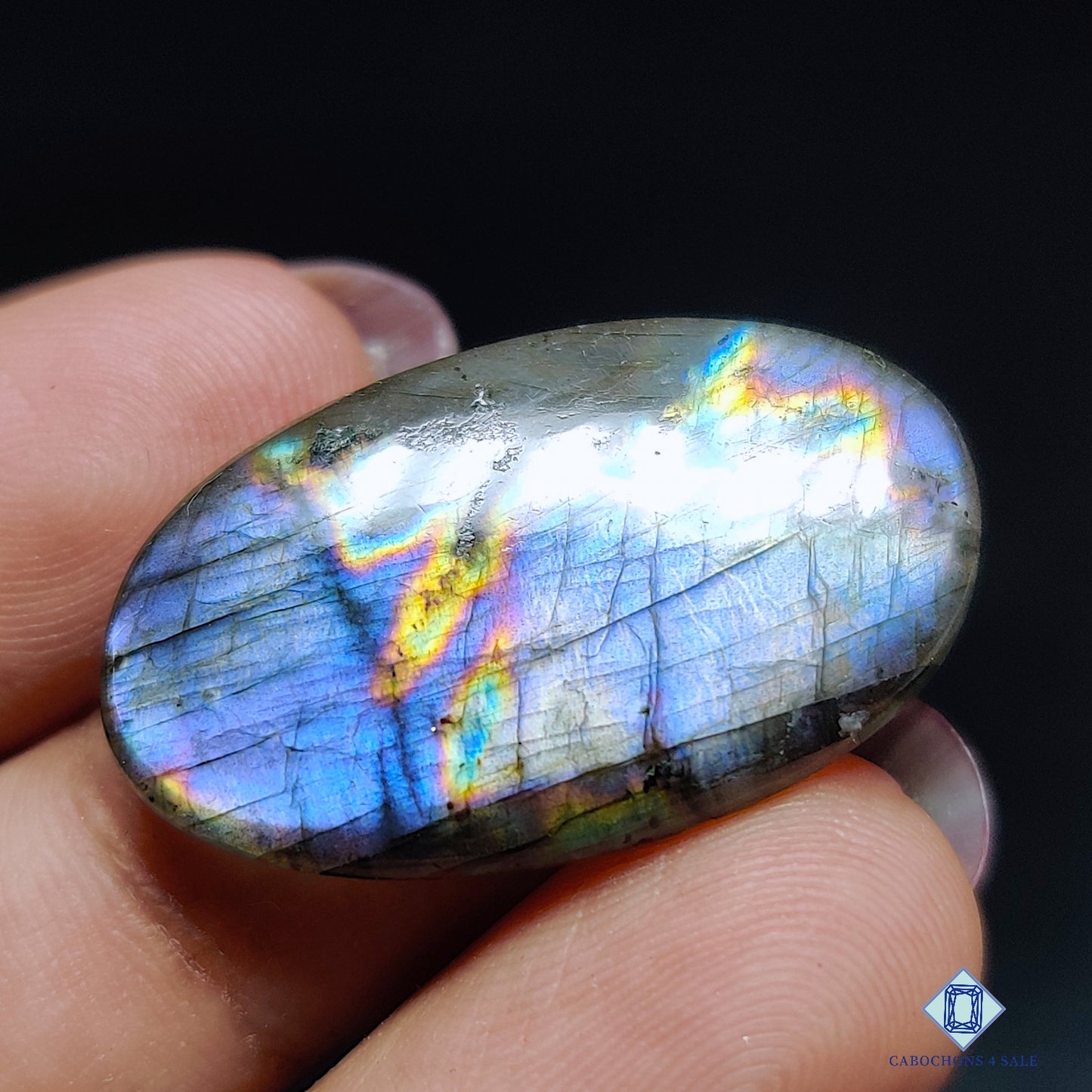 Multi Spectrolite