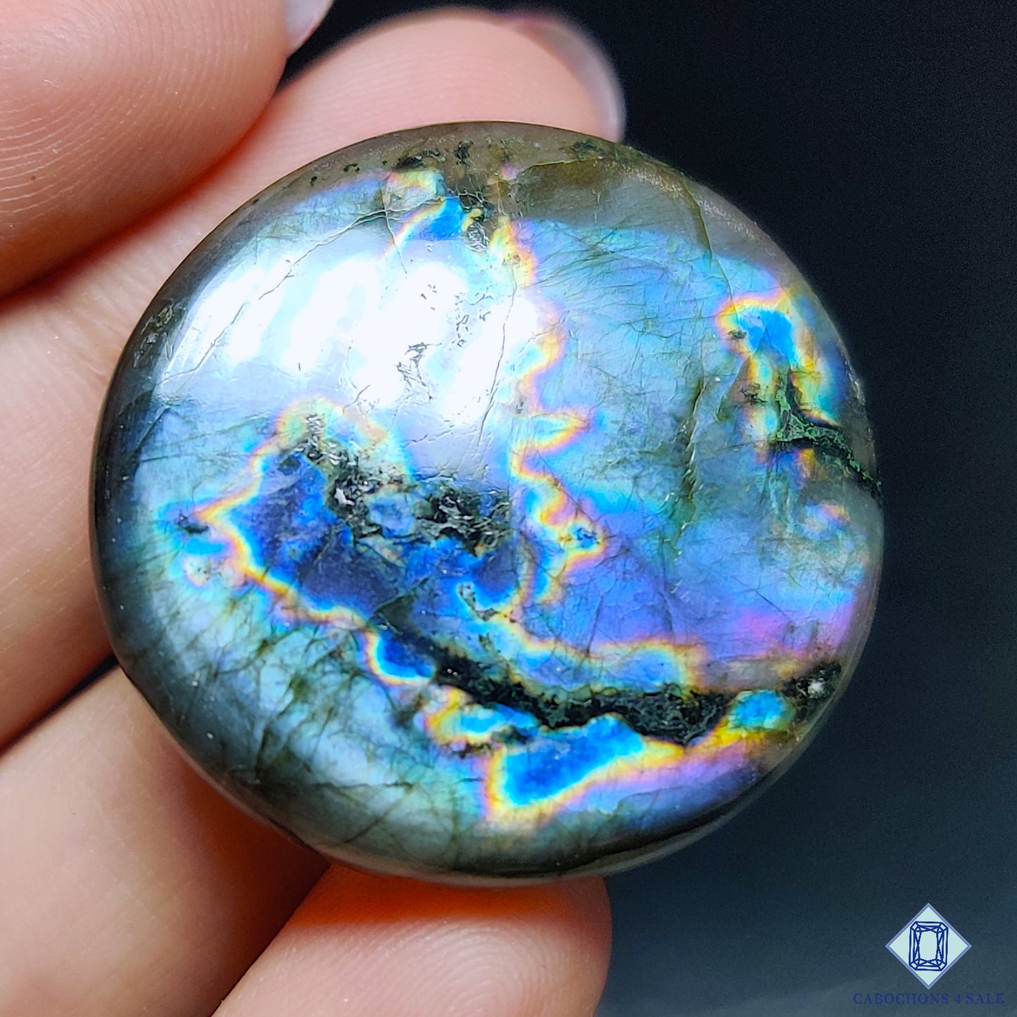 Multi Spectrolite