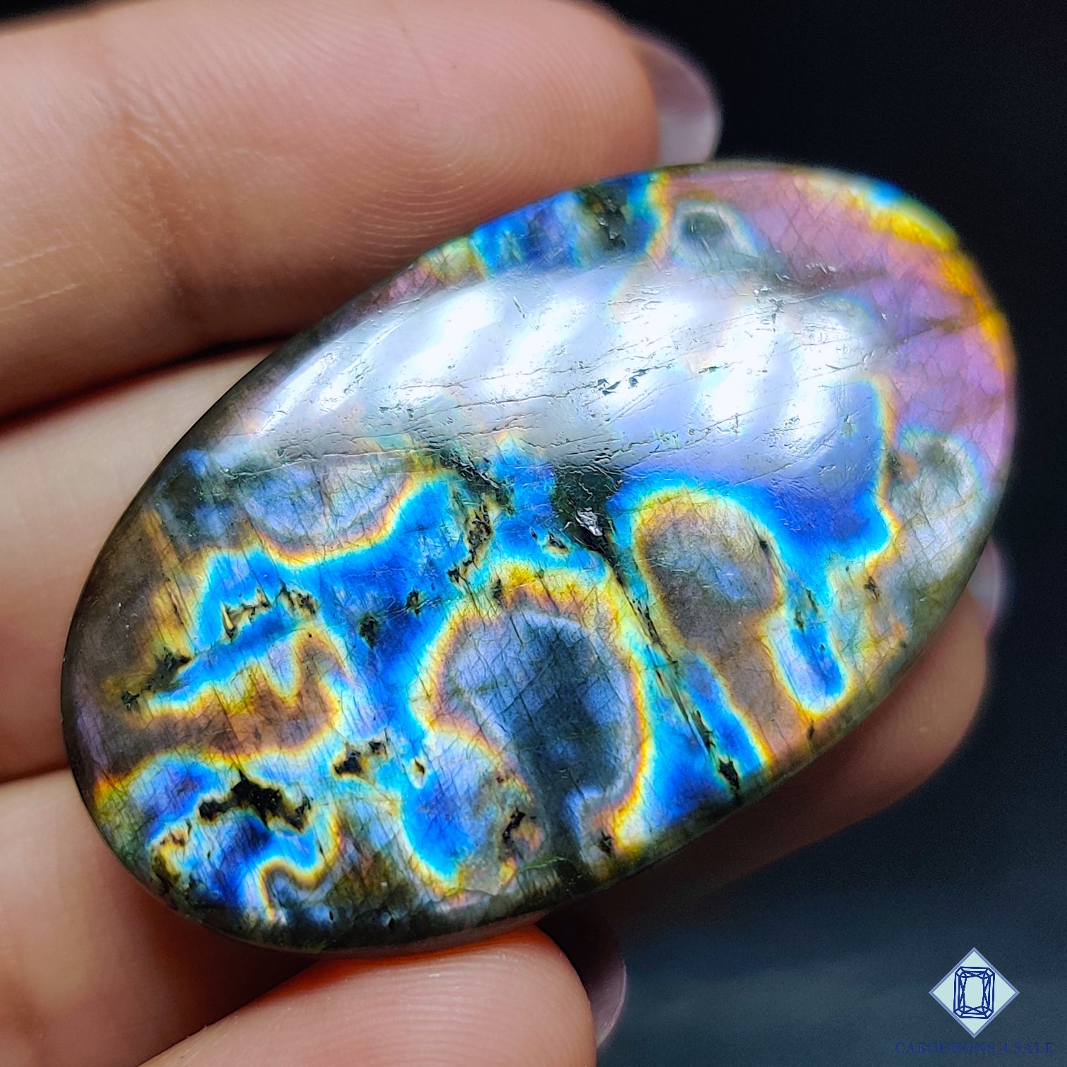 Multi Spectrolite