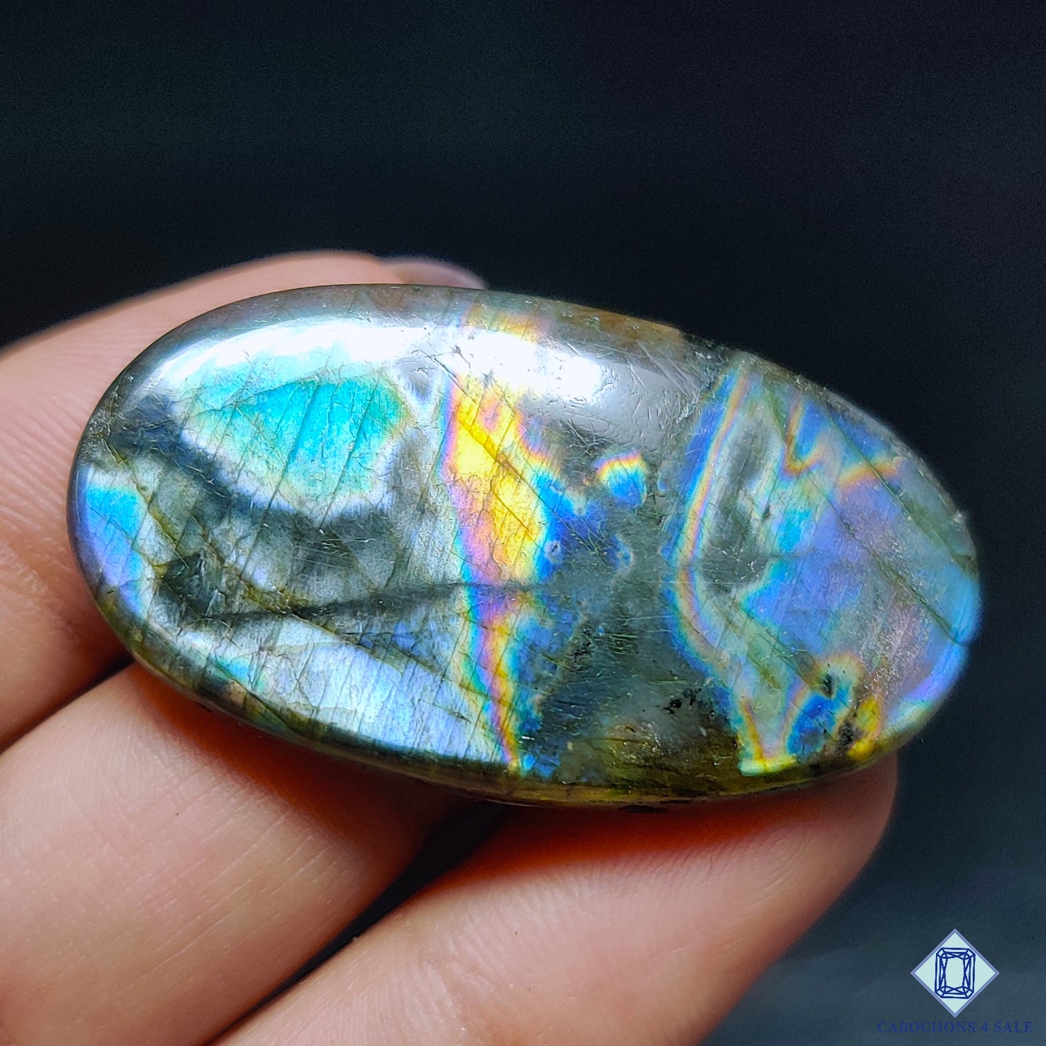 Multi Spectrolite