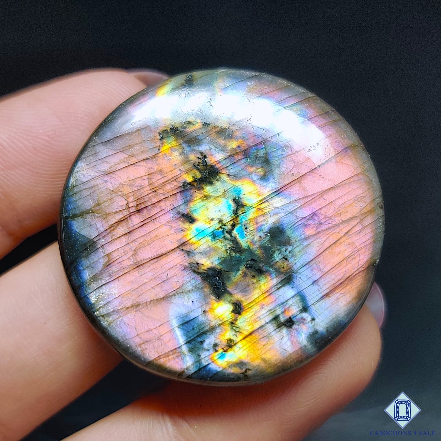 Multi Spectrolite