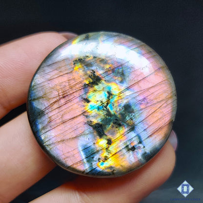 Multi Spectrolite