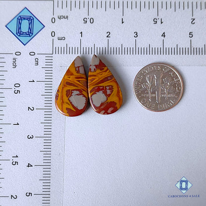 Natural Noreena Jasper Gemstone Pear Pairs 22*11*4mm from Australia available for sale