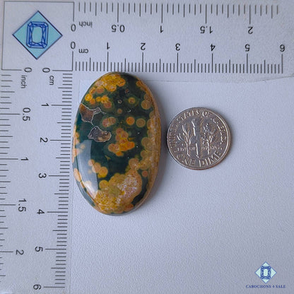 Ocean Jasper