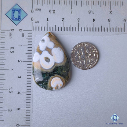 Ocean Jasper