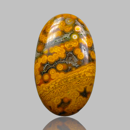 Ocean Jasper