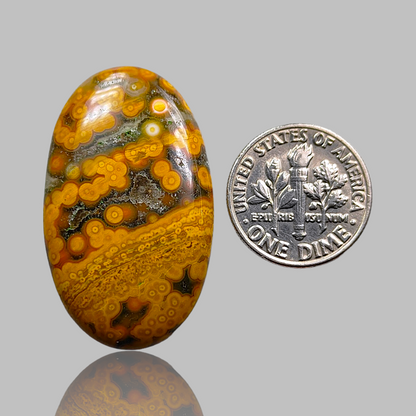 Ocean Jasper