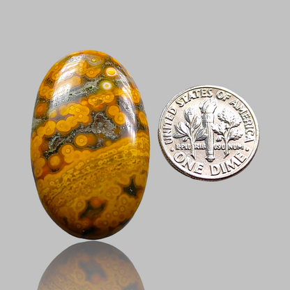 Ocean Jasper