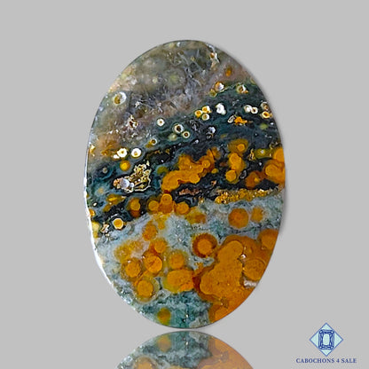 Ocean Jasper