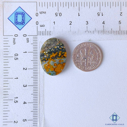 Ocean Jasper