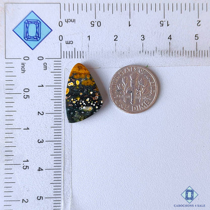 Ocean Jasper