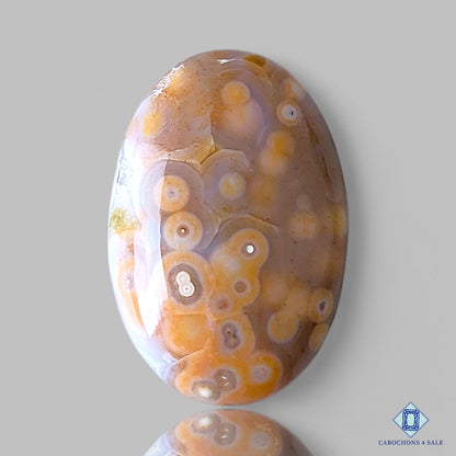 Ocean Jasper