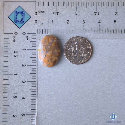 Ocean Jasper