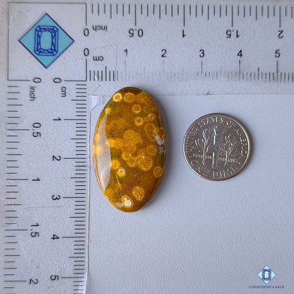 Ocean Jasper