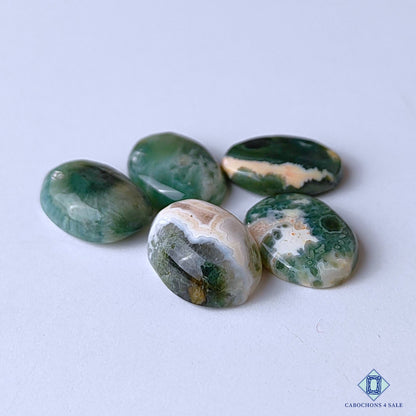 Ocean Jasper
