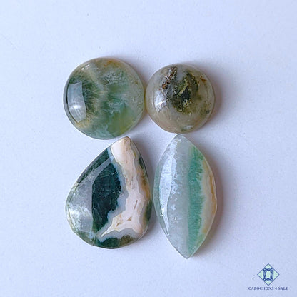 Ocean Jasper