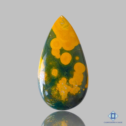 Ocean Jasper