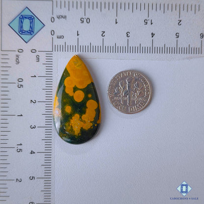 Ocean Jasper