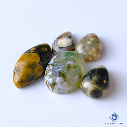 Ocean Jasper