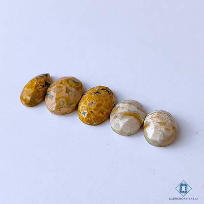 Ocean Jasper