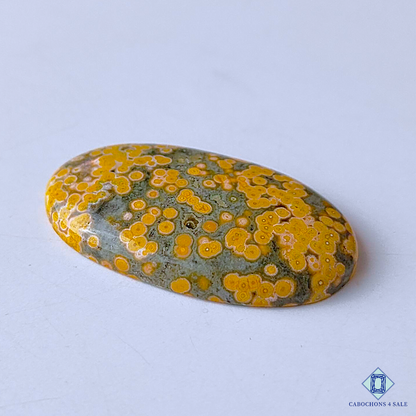 Ocean Jasper