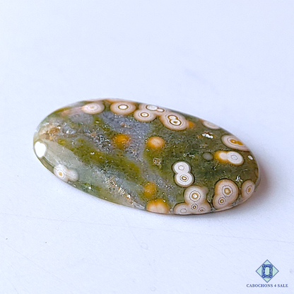 Ocean Jasper