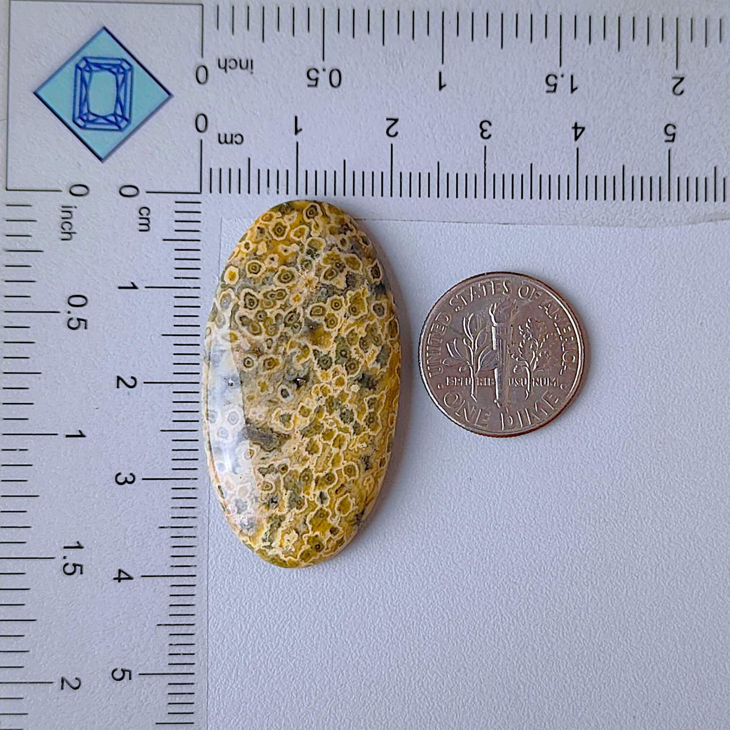 Ocean Jasper