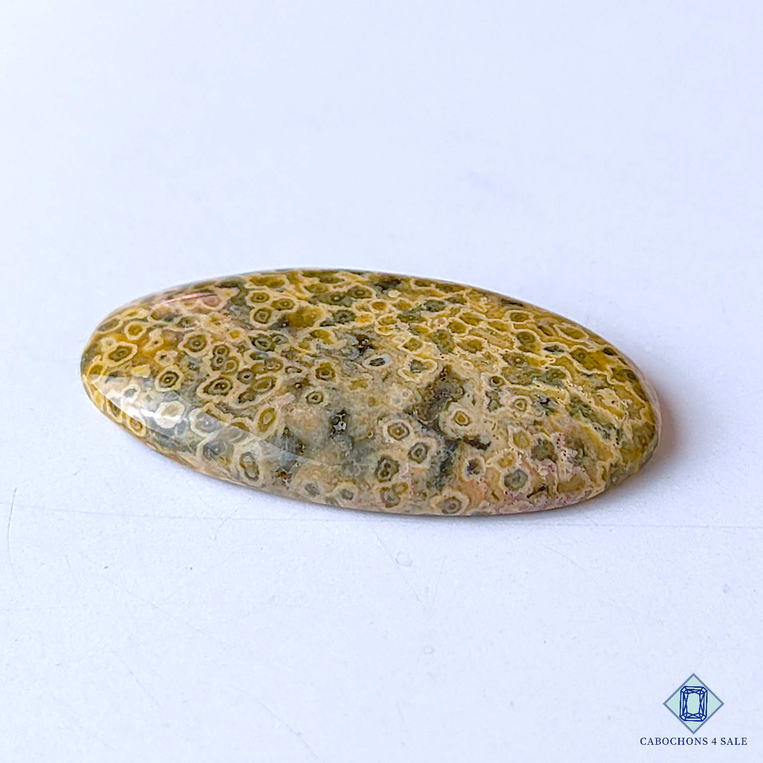 Ocean Jasper