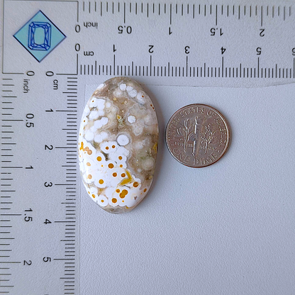Ocean Jasper