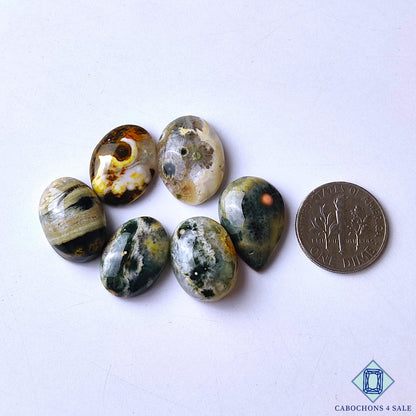 Ocean Jasper