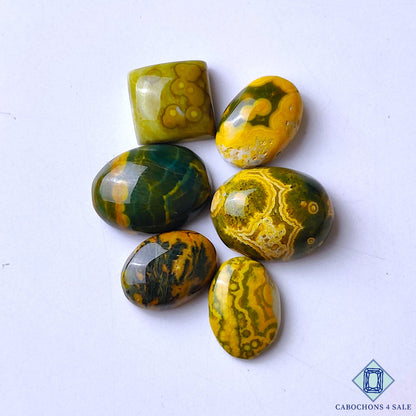Ocean Jasper