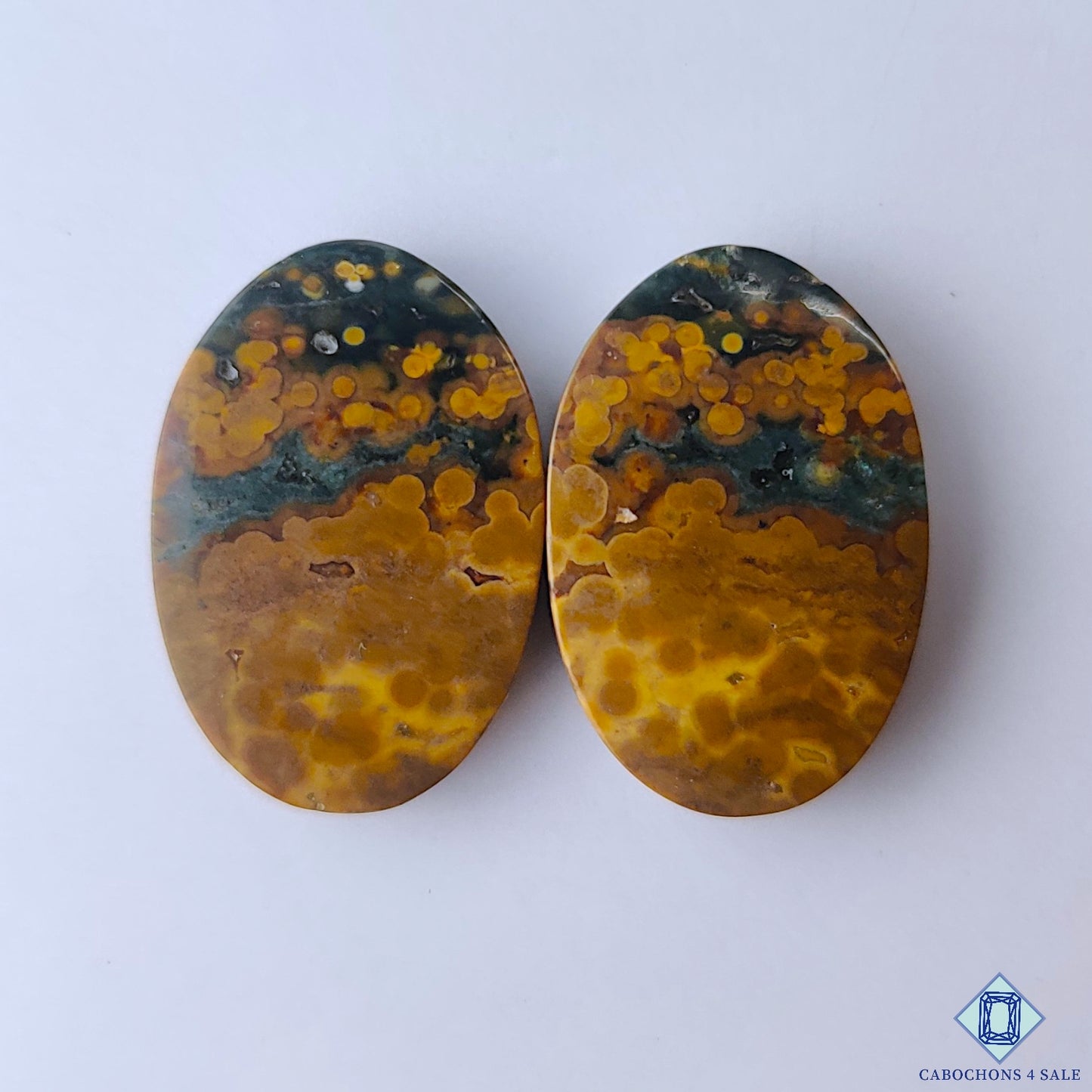 Ocean Jasper
