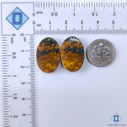 Ocean Jasper